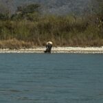 Renu Desai Instagram – Something so beautiful and awesome to see animals in their natural habitat without any unnecessary interference from us humans… Rishikesh ऋषिकेश
