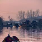 Renu Desai Instagram - Experienced a tiny traffic jam with boats too 😁 #shikara #srinagar #dallake Dal Lake, Kashmir