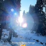 Renu Desai Instagram - My love story with lens flares and sun continues…🧡 #gulmarg #kashmir #lensflare #shotoniphone