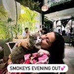 Renu Desai Instagram - The best accessory is cats fur on your dress😍🥰