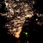 Renu Desai Instagram - Share it with someone with whom you would love to go for a walk on a chilly winter evening 🧡