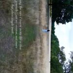 Renu Desai Instagram – The journey of existence… Richmond Park
