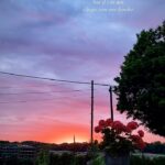 Renu Desai Instagram – Surya asta was all shades of orange and pink that evening