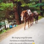 Renu Desai Instagram – See how the horse uses his ears to show irritation for being filmed…I am the official irritating paparazzi of all the birds and animals😂 Pahalgam