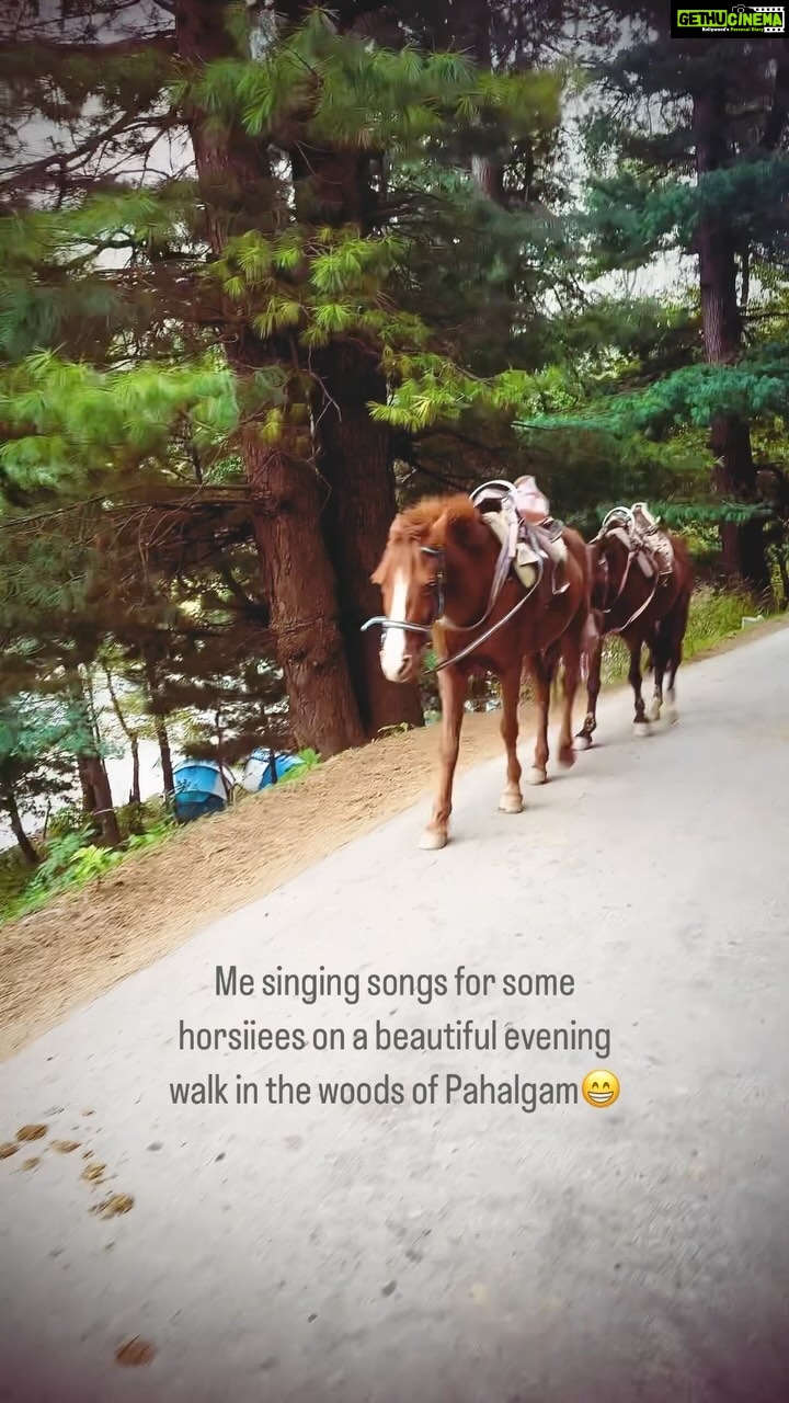 Renu Desai Instagram - See how the horse uses his ears to show irritation for being filmed…I am the official irritating paparazzi of all the birds and animals😂 Pahalgam