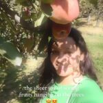 Renu Desai Instagram - Apple apple on the tree who is the yummiest of them all? 🤪