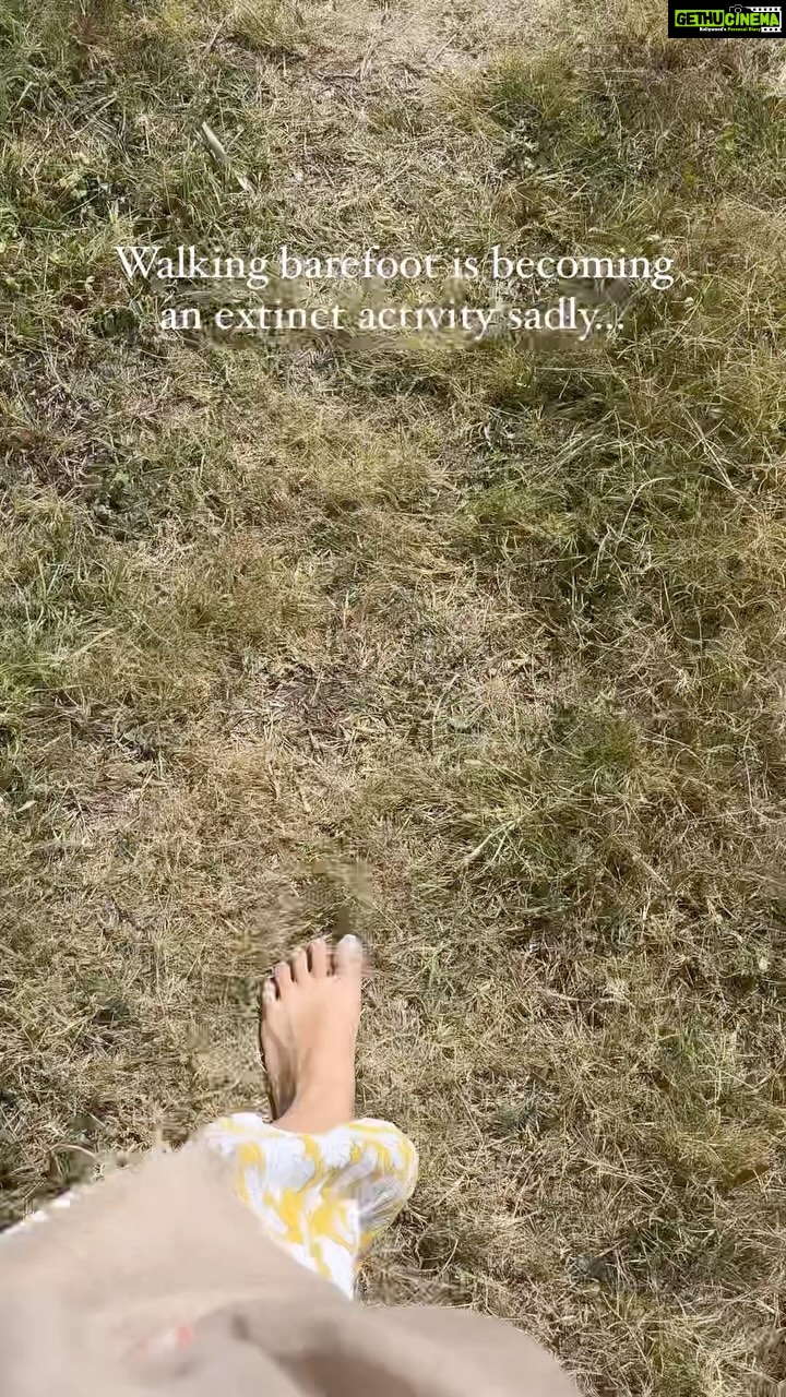 Renu Desai Instagram - We have to connect to our Mother Earth regularly without any rubber soled footwear. Earthing is very important for our health and wellbeing🩵 Srinagar, Jammu and Kashmir