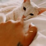 Renu Desai Instagram - Biting nails is a bad habit which Feebe is unaware of 🤭