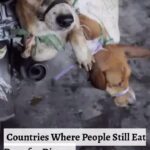 Renu Desai Instagram - Humans :/