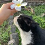 Riddhi Kumar Instagram - Favourite flower favourite females 🧏🏻‍♀️