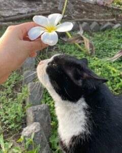 Riddhi Kumar Instagram - Favourite flower favourite females 🧏🏻‍♀️