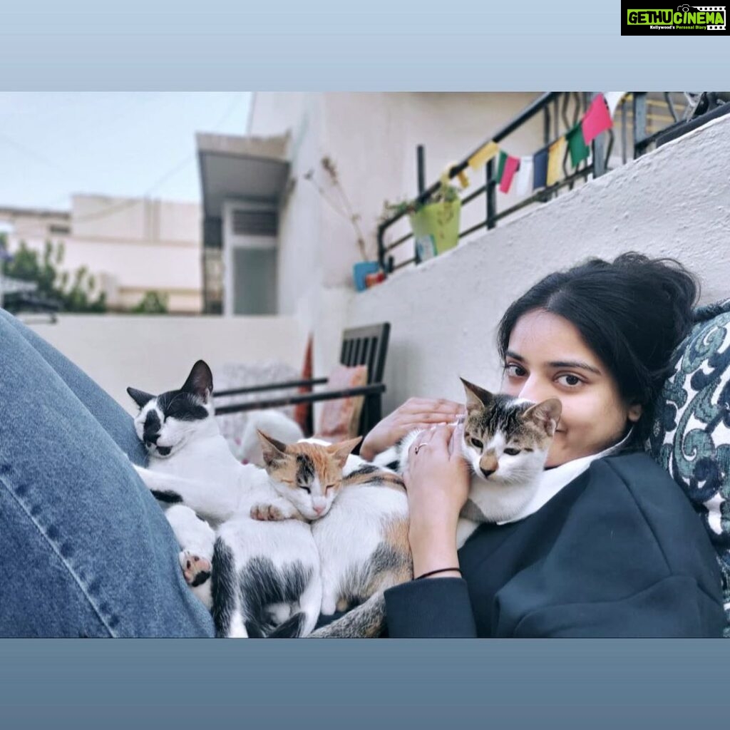 Riddhi Kumar Instagram - Neko mama 👸🏽 #cats #catsofinstagram #catlife