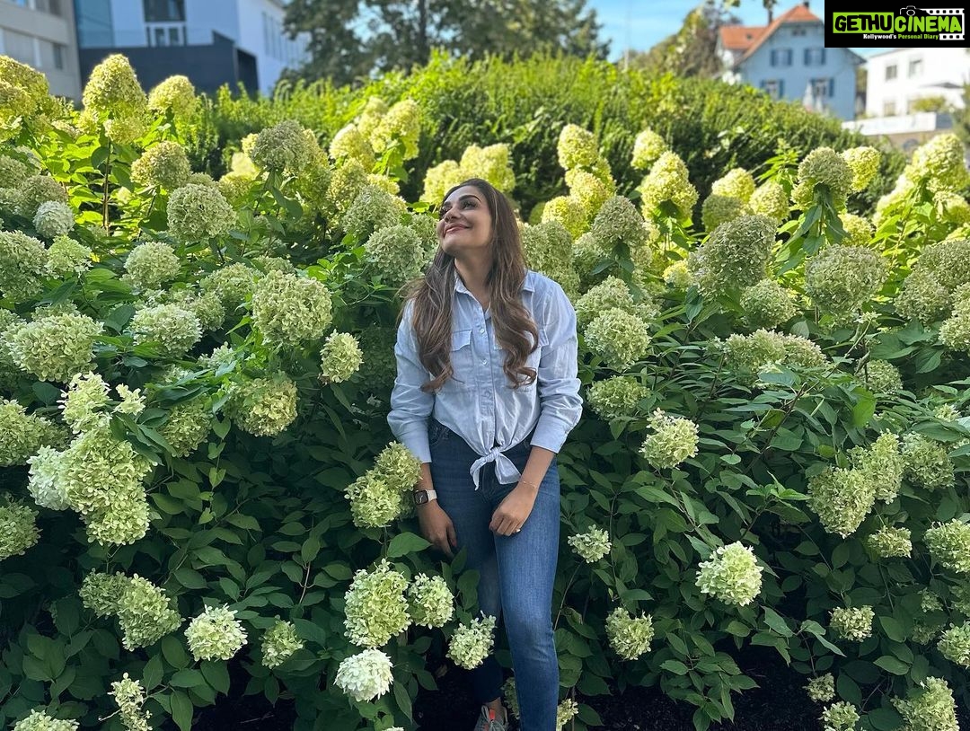 Rimi Tomy Instagram - Rhinefalls - Europe's Largest Waterfalls