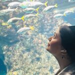 Ritabhari Chakraborty Instagram - Singapore diaries!
