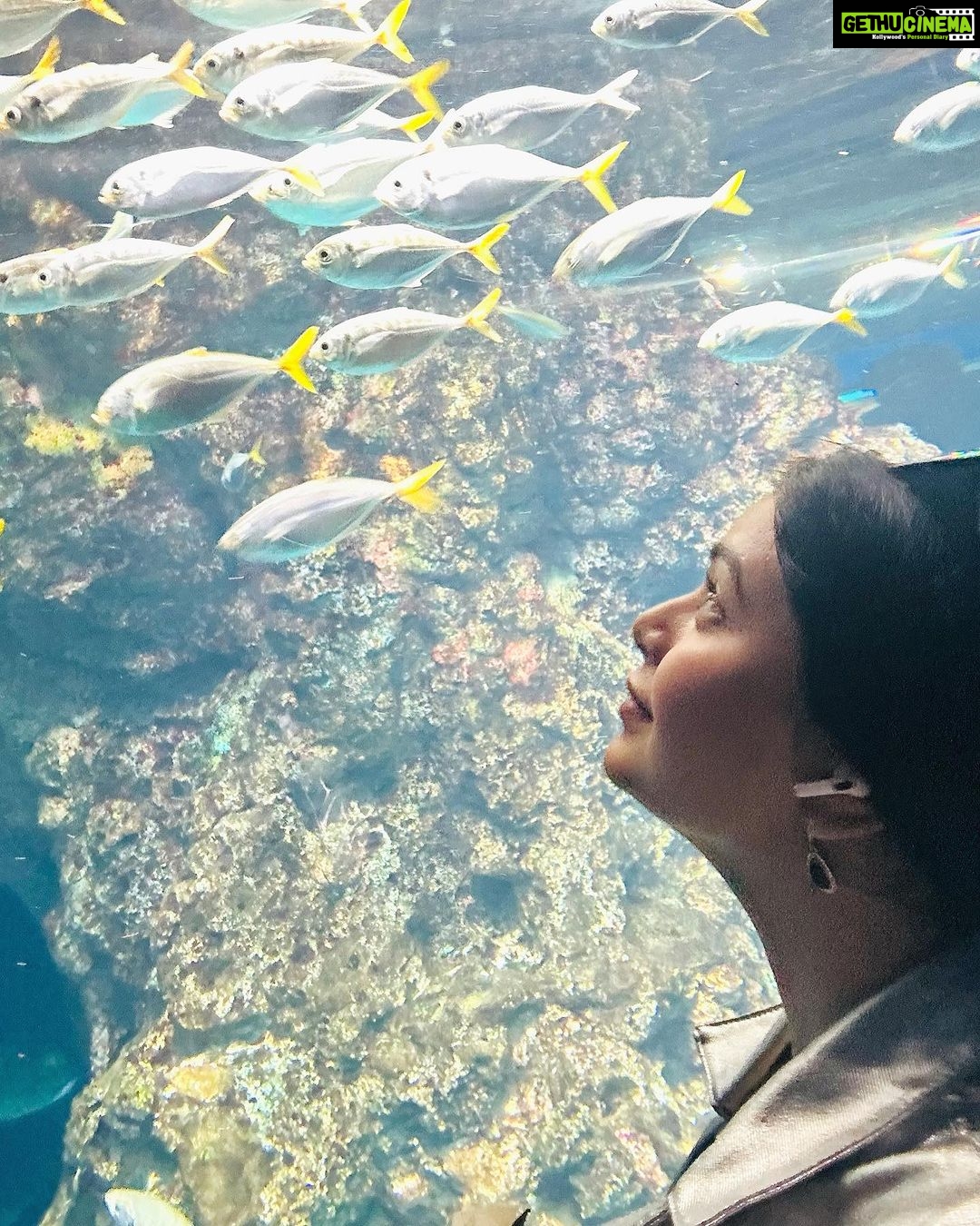Ritabhari Chakraborty Instagram - Singapore diaries!