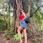 Riya Suman Instagram – Went looking for the Banyan Tree Baba 😅 #iykyk Didn’t find any. Guess he doesn’t meditate in off season. 🙈 The Tree