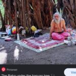 Riya Suman Instagram – Went looking for the Banyan Tree Baba 😅 #iykyk Didn’t find any. Guess he doesn’t meditate in off season. 🙈 The Tree