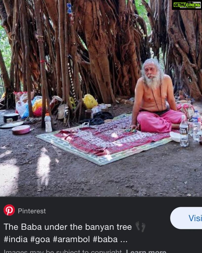 Riya Suman Instagram - Went looking for the Banyan Tree Baba 😅 #iykyk Didn’t find any. Guess he doesn’t meditate in off season. 🙈 The Tree