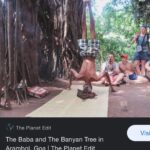 Riya Suman Instagram – Went looking for the Banyan Tree Baba 😅 #iykyk Didn’t find any. Guess he doesn’t meditate in off season. 🙈 The Tree