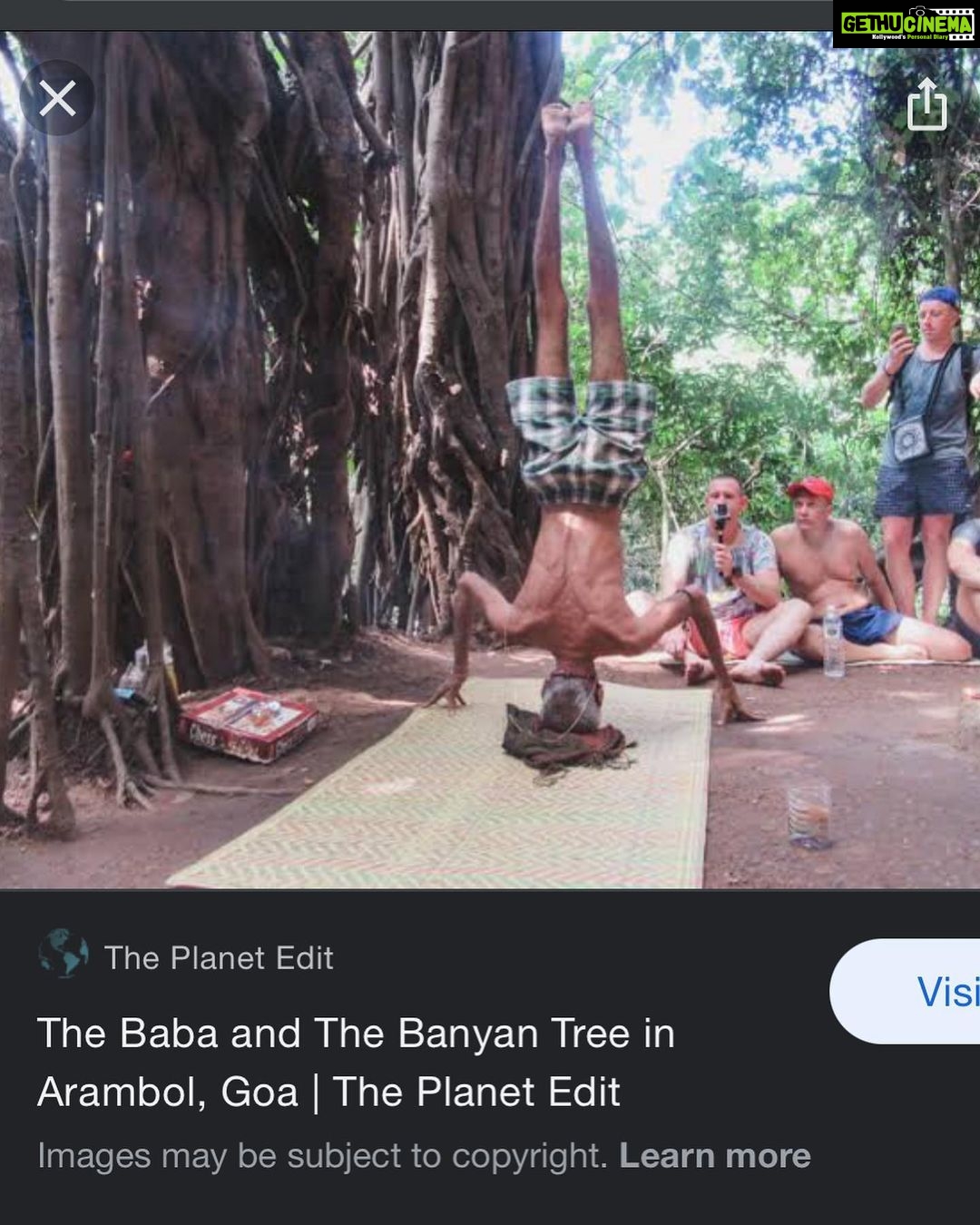 Riya Suman Instagram - Went looking for the Banyan Tree Baba 😅 #iykyk Didn’t find any. Guess he doesn’t meditate in off season. 🙈 The Tree