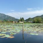 Ruchira Jadhav Instagram - नूर-ए-कश्मीर 🖤 हूर-ए-कश्मीर #RuchiraJadhav Dal Lake, Kashmir