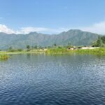 Ruchira Jadhav Instagram - नूर-ए-कश्मीर 🖤 हूर-ए-कश्मीर #RuchiraJadhav Dal Lake, Kashmir