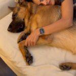 Rukmini Vijayakumar Instagram – Afternoon naps be like….. 

#kong #lifewithkong #gsd #germanshepherd #dogmom