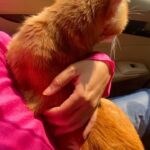 Sadha Instagram - Please don’t take my sunshine away 🙏🙏🙏 #cherry #ckd #prayers #healings