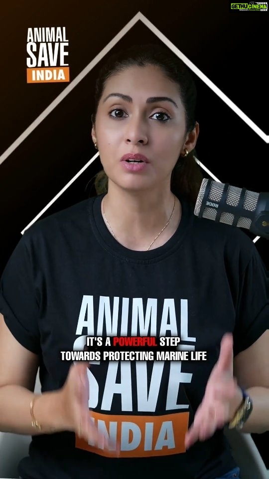 Sadha Instagram - Dive into the fascinating world of fish with 4 intriguing facts, proving they're more than just elegant swimmers. 🐟 Yet, overfishing threatens their existence, risking fishless oceans by 2050. Let's make a splash for change—say no to fish on your plate and yes to a sustainable, compassionate vegan lifestyle. 🌱🌊 #saveouroceans #govegan #fish #marinelife #fishing #overfishing