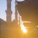 Sahar Afsha Instagram - Download NUSUK app and get your appointment for praying in the noble Rawdah 🤲 Repost | Reshare | Like | Comment you Will earn rewards as sadaka-e-jariya💕 * * * * * * * * * * The Prophet Mohammed (SAW) said : “The one who guides to something good has a reward similar to doing it “. * * * * * * * #islamicreminders #ummah #allah #dua #trust #worship #lord #deen #sabr #gratitude #patience #faith #love #reels #reelsinstagram #reelsvideo #reelitfeelit #reelsviral #reelkarofeelkaro