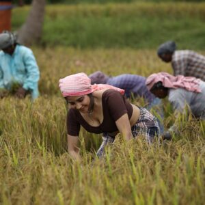 Sakshi Agarwal Instagram - This is a special gift from me for all of my insta family supporters and followers on this auspicious day 🔥 . Wait for it.. Lots more to come in very different looks only for you. A small look teaser from my upcoming Malayalam song. . Thank you team for this amazing experience I had on the paddy fields and exploring the culture of South India. . A big salute to all our farmers💕 . Prodn: @benzyproductions Hero: @ashkkarsoudaanofficial Dir: @subairzindagi Dop: @pradep_nair . #paddyfield #farmerlife #farmerlook #malayalam #kerala Palakkad