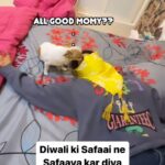 Sambhavna Seth Instagram - Diwali ki safaai ne safaaya kar diya