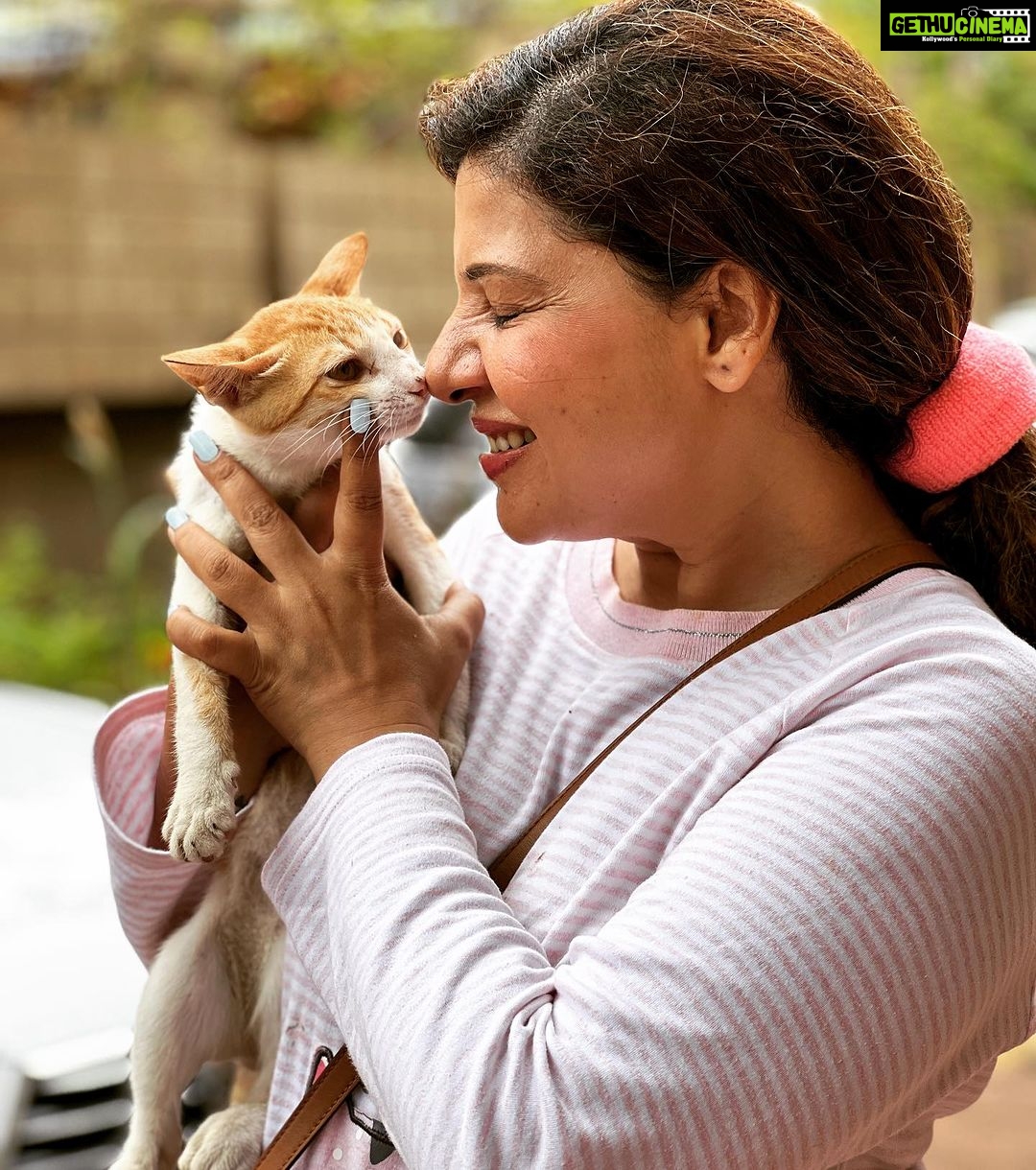 Sambhavna Seth Instagram - Doston aap ko toh pata hi hai I Hate Cats 🤪