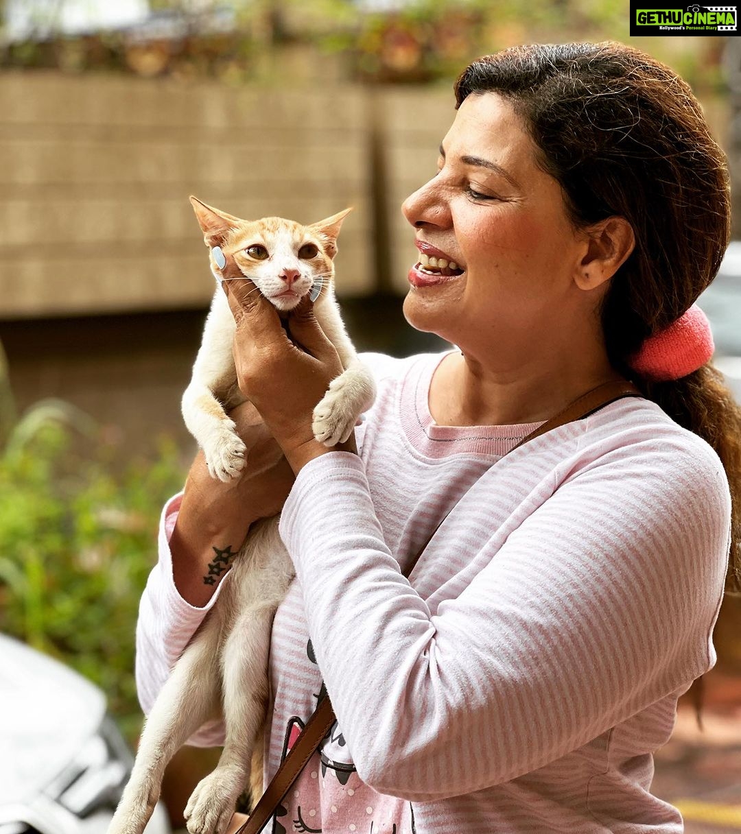 Sambhavna Seth Instagram - Doston aap ko toh pata hi hai I Hate Cats 🤪