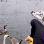 Sana Khan Instagram - If you knew the true value of yourself, you will never allow yourself to be humiliated by committing sins. Allah has honoured the children of Adam more than any other creation, but still we degrade ourselves by being disobedient to him. May we all be guided in true sense of pleasing our Rab 🤲🏻 #sanakhan #anassaiyad #uk #memories #alhamdulillah #love #grateful