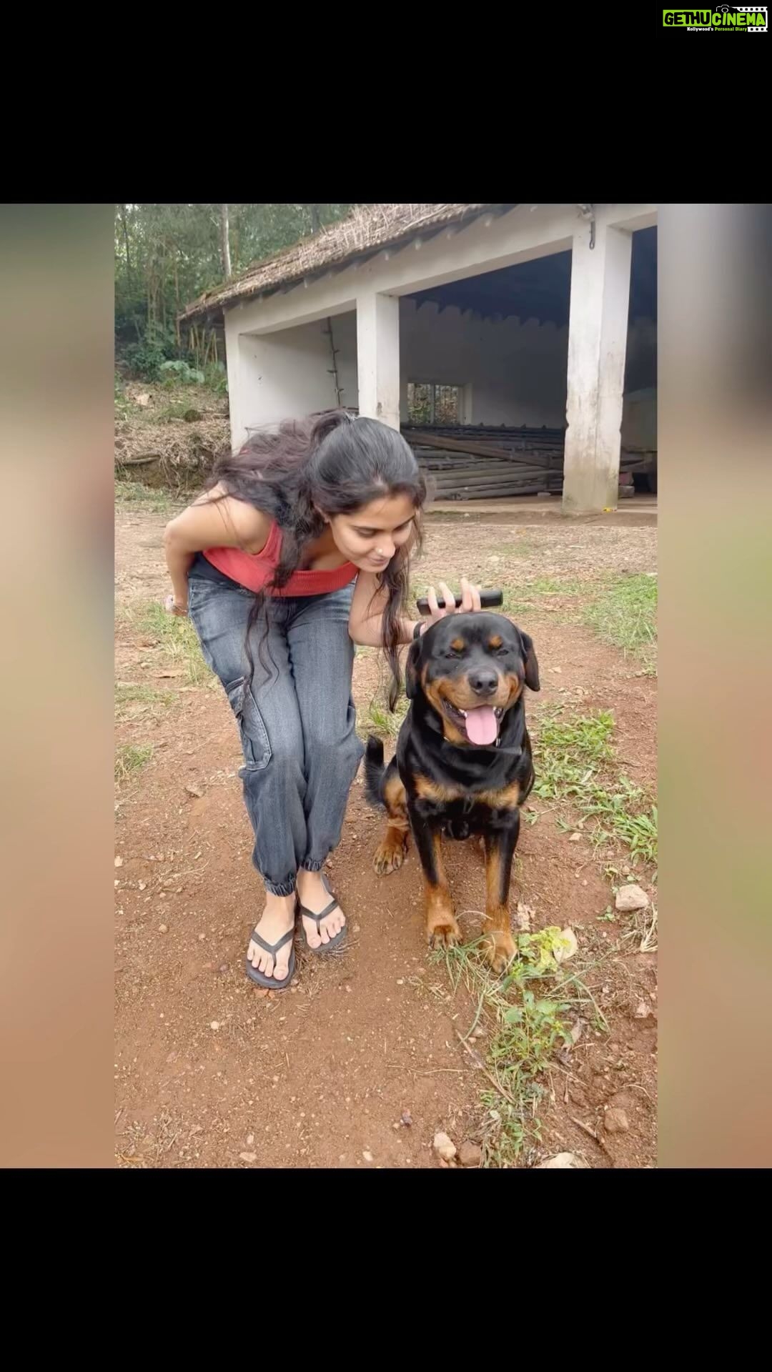 Sangeetha Bhat Instagram - Nature’s child💕 #timetravellermia #sangeethabhat #sangeethabhatsudarshan #devaramane #sirgurestate #thebunglowhomestay Devaramane