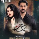 Sarah Khan Instagram - 4 days to go! #namakharam
