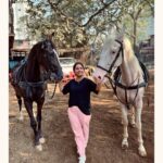 Sayali Sanjeev Instagram - Missing you 🩶🩶 • • • Thank you so much Daksh • • #love #horseriding #loveanimals