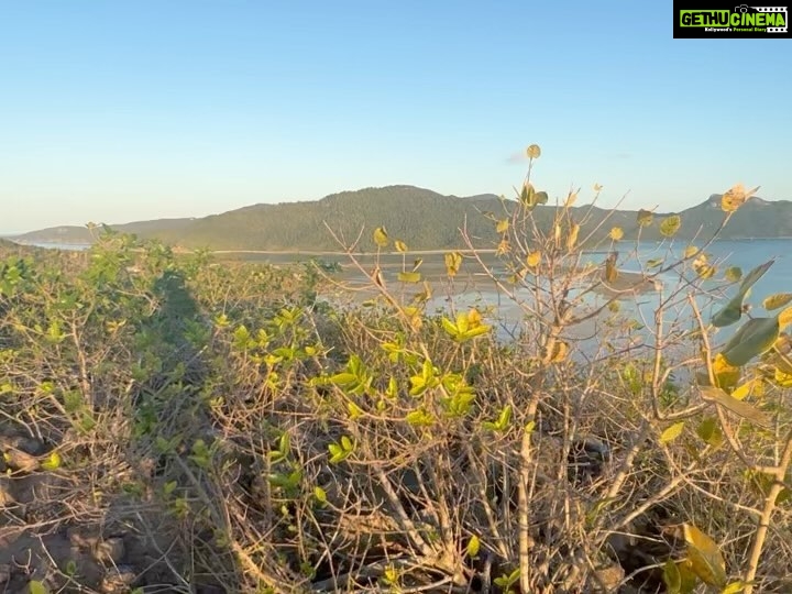 Sayani Gupta Instagram - Love solo hikes. This was a Sunset hike in @intercontinentalhaymanisland Got lost many times.. but found my way to the top and back. Saw at least 30 Wallabies & a stunning 🌅 Best part.. not a single soul around! #seeaustralia @australia