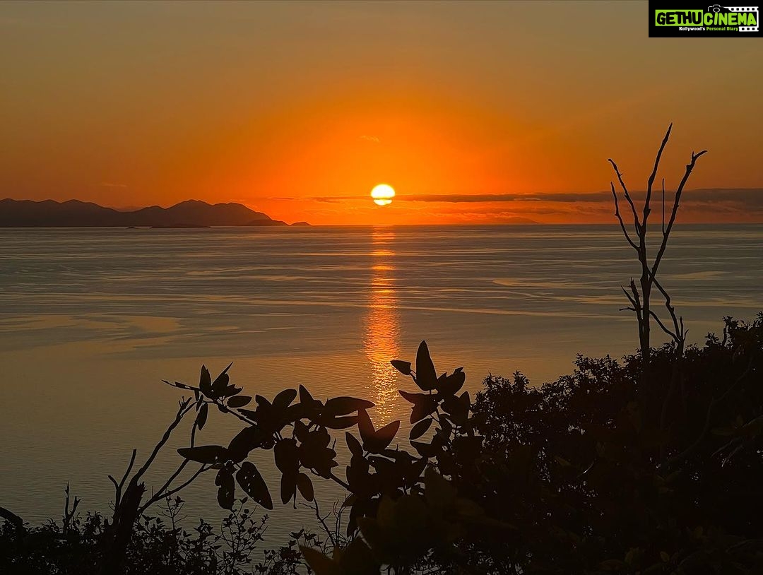 Sayani Gupta Instagram - Love solo hikes. This was a Sunset hike in @intercontinentalhaymanisland Got lost many times.. but found my way to the top and back. Saw at least 30 Wallabies & a stunning 🌅 Best part.. not a single soul around! #seeaustralia @australia