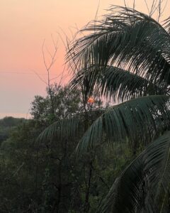 Sayani Gupta Instagram - A birthday well spent! Thank you all of you for the out pouring love, warmth and wishes that really moved me. I see you. Thank you for seeing me. Incredibly grateful for the friends that one has earned. Wanted to spend the day nestled at home calmly.. (perks of growing older). Was exactly that. Worked out (after 1.5 months), amla juiced, ate cake and mutton chaap that I cooked for myself, drank some beautiful Italian wine & malt, hugged & chatted. Was calm, peaceful, serene, happy with so much warmth! 🎈 Have the best year all of you! Big love! 💋