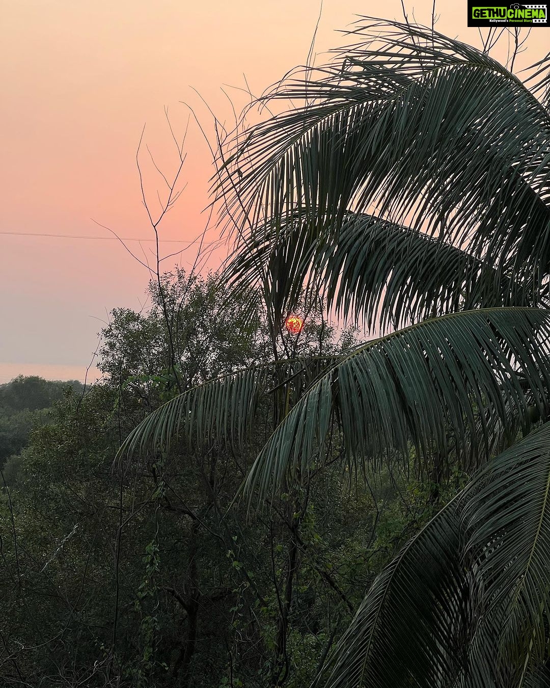 Sayani Gupta Instagram - A birthday well spent! Thank you all of you for the out pouring love, warmth and wishes that really moved me. I see you. Thank you for seeing me. Incredibly grateful for the friends that one has earned. Wanted to spend the day nestled at home calmly.. (perks of growing older). Was exactly that. Worked out (after 1.5 months), amla juiced, ate cake and mutton chaap that I cooked for myself, drank some beautiful Italian wine & malt, hugged & chatted. Was calm, peaceful, serene, happy with so much warmth! π Have the best year all of you! Big love! π