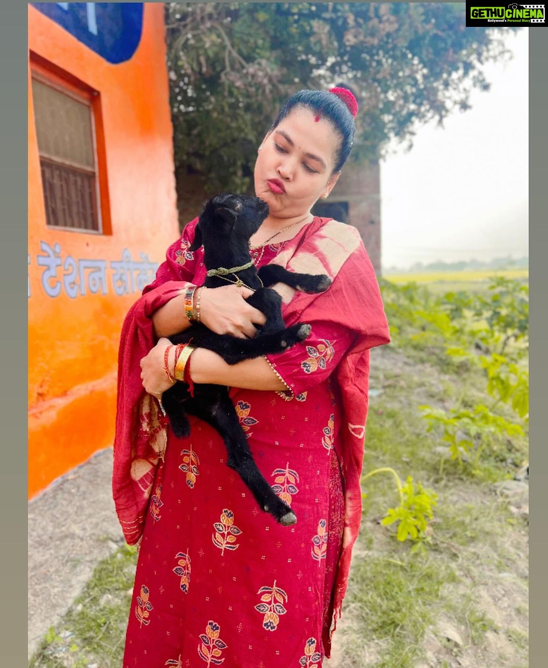 Seema Singh Instagram - so adorable ✨🌈 🐐 . . . . #babygoats #goatkid #photooftheday #love #happyme #bihar #barbigha Barbigha