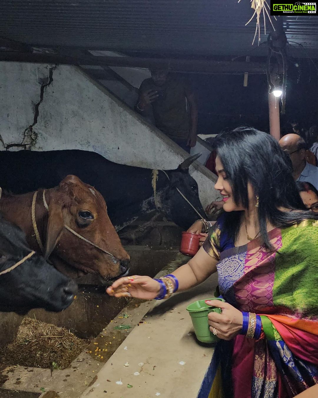 Seema Singh Instagram - बरे ही सौभाग्य की बात है गाय माता की सेवा करना।।ये सौभाग्य मुझे भी प्राप्त हुआ बरबीघा गौशाला में इनको चना गुड़ खिलाकर।। साथ मे चिंटू भैया , सुमन जी, दीपू जी।।।।।. . . . #bihar #barbigha #gaumata #trending #photooftheday Barbigha