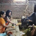 Seema Singh Instagram – बरे ही सौभाग्य की बात है गाय माता की सेवा करना।।ये सौभाग्य मुझे भी प्राप्त हुआ बरबीघा गौशाला में इनको चना गुड़ खिलाकर।।
साथ मे चिंटू भैया , सुमन जी, दीपू जी।।।।।.
.
.
.
#bihar #barbigha #gaumata #trending #photooftheday Barbigha