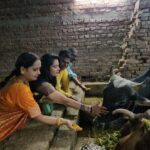 Seema Singh Instagram – बरे ही सौभाग्य की बात है गाय माता की सेवा करना।।ये सौभाग्य मुझे भी प्राप्त हुआ बरबीघा गौशाला में इनको चना गुड़ खिलाकर।।
साथ मे चिंटू भैया , सुमन जी, दीपू जी।।।।।.
.
.
.
#bihar #barbigha #gaumata #trending #photooftheday Barbigha