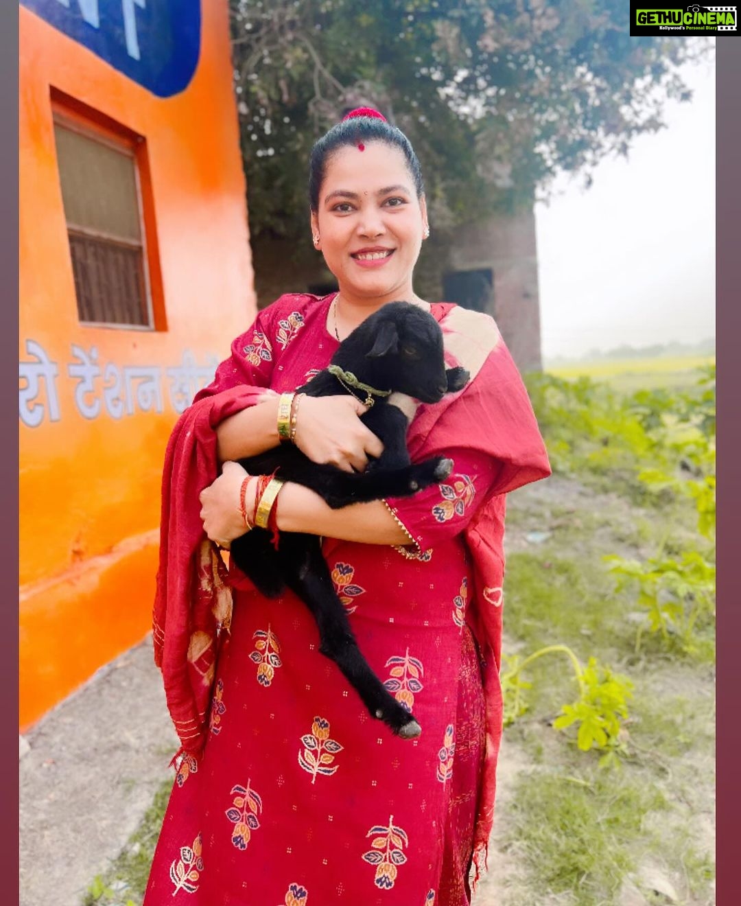 Seema Singh Instagram - so adorable ✨🌈 🐐 . . . . #babygoats #goatkid #photooftheday #love #happyme #bihar #barbigha Barbigha