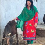 Seema Singh Instagram - Just looking like a cowww 🐄😃 #cowlove . . . . #cow #cowlove #photooftheday #trending #bihar #barbigha #apnabihar #selflove Barbigha