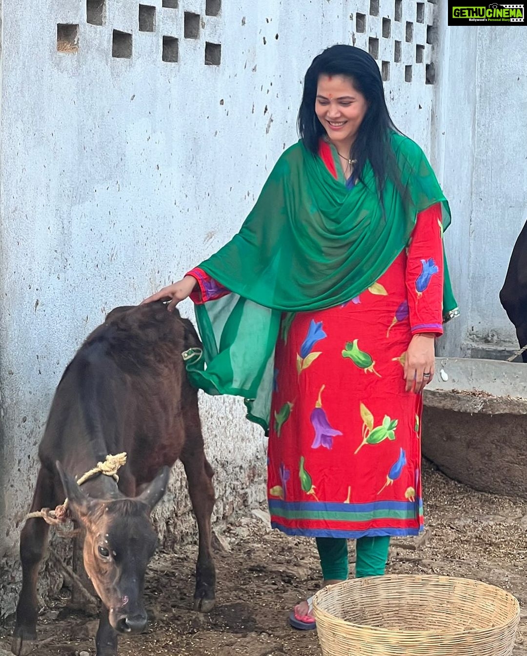 Seema Singh Instagram - Just looking like a cowww 🐄😃 #cowlove . . . . #cow #cowlove #photooftheday #trending #bihar #barbigha #apnabihar #selflove Barbigha