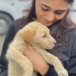 Shalini Pandey Instagram - 27.09.2021 was the day when I held you for the first time two years back. I can never ever forget the moment when I saw you lost and crying and my heart ached. The moment I held you, you stopped crying and I knew you’re mine and I’m yours. My baby girl Thankyou for coming into my life. Thankyou for saving me every time I needed to be saved. You’re the best gift I could have asked for. I love you forever and ever and ever… Cheers to my baby girl who has the most beautiful eyes and the best tail ever♥️♾️ #bir 🙃 #mymountaingirl Bir, Himachal Pradesh